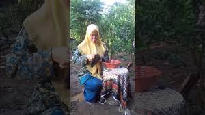 Susu dan gula dilarang campur dalam teh. Cara Membuat Belalai Gajah Youtube