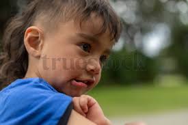 Stock similar to #TS372334