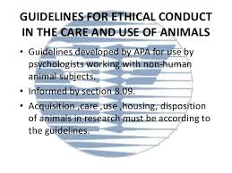 Ethical Guidelines By Apa Ethics Ethical Issues American Psychological Association