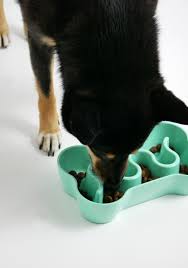 Inooko Gamelle Anti Glouton Pour Chien Gamelle Chien Gamelle Chien