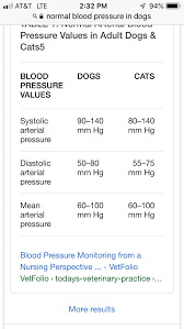 If a cat is stressed with major illness or surgery once your cat is stabilized, fluids can be given under the skin (subcutaneously). Pin By Amie S On Vet Tech Vitals Types Of Insulin Study Notes Veterinary Technician