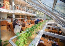 25,000+ student reviews, fees, programs & courses | ciragan cad. Galatasaray University Study In Turkey