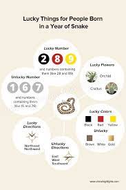 Lucky Things For People Born In A Year Of The Snake In 2021 Chinese Zodiac Snake Year Of The Snake Chinese Zodiac