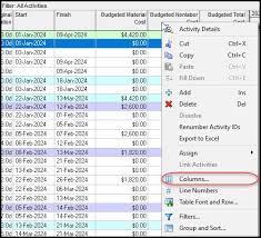 How To Customize Activity Table Column Headers In Primavera P6 Activity Table Activities Column