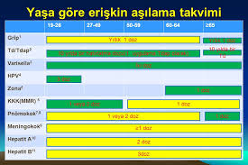 Eriskinde Bagisiklama Ppt Indir