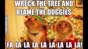 Barnyard Hilarious Holidays Funniest Animal Memes Barnyard Compilation Youtube Christmas Memes Funny Funny Cat Memes Funny Animal Memes