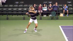 Alex de minaur walks off to a big ovation. Grigor Dimitrov Forehand Slow Motion 2019 Youtube