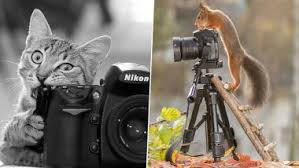 The day can be traced back to 1837 with the invention of the daguerreotype,. World Photography Day 2020 Hd Pictures And Images Twitter Celebrates The Day With Amazing Quotes Wishes Greetings Latestly