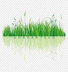 Check spelling or type a new query. Rumput Lukisan Cat Air Rumput Kartun Png Pngegg