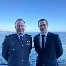 Image result for Oldenlandia verrucitesta