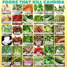 Mostly Alkaline Foods That Kill Candida Candida Diet Candida Diet Recipes Anti Candida Diet