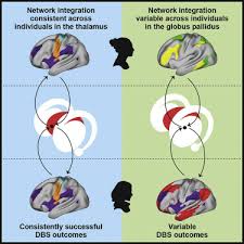 Image result for Higher Integrative Function