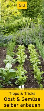 Lebensmittel Aus Dem Eigenen Garten Garten Garten Pflanzen Und Garten Bepflanzen