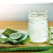 Tieners massaal opgeroepen voor vaccinatie meningokokken. Allgroo Aloe Vera Drink Erfrischendes Aloe Vera Getrank Aus Sudkorea Geschmacksrichtung Pur Mit Fruchtfleisch Und Honig Verfeinert Einwegpfand 1 X 1500 Ml Amazon De Lebensmittel Getranke