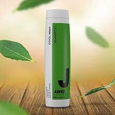 Cool Mint Shampoo Anti Breakage Natural Hair Growth Stimulator For Thinning Hair Soothing Anti Hair Loss Anti Hair Loss Mint Shampoo Natural Hair Growth