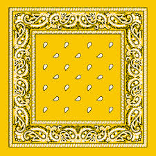 Black And Yellow Paisley Bandana Paisley Bandanna Yellow 12 Pack 22 Square Standard 100 Cotton 1923dz Bandana Paisley Bandannas