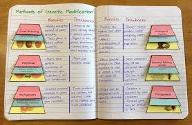 Mitosis takes place during growth of an organism. Matrix Lesson