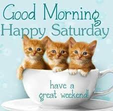 60 Funny Saturday Quotes Sayings And Images For The Weekend