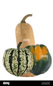 Image result for carnival acorn squash
