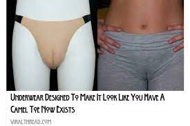 Too, why create a camel toe in my panties when i'm just going to cover them up? So This Is Actually A Thing Album On Imgur
