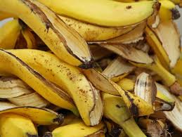 Hence, it is quite a good way to prevent abnormal cells from growing inside. Using Banana Peels When Growing Roses Thriftyfun