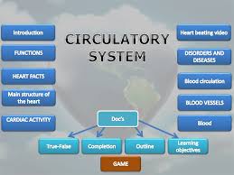 Circulatory System Online Presentation