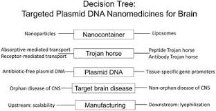 Huge sale on metal kitchen racks now on. Frontiers Brain Delivery Of Nanomedicines Trojan Horse Liposomes For Plasmid Dna Gene Therapy Of The Brain Medical Technology
