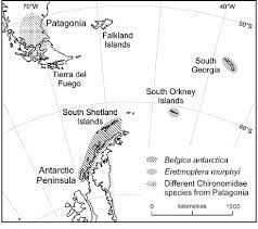 Belgica antarctica, the antarctic midge, is a species of flightless midge, endemic to the continent of antarctica. Map Showing The Sampling Sites And Distributions Of B Antarctica And Download Scientific Diagram