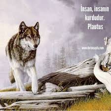 Insan Insanin Kurdudur Plautus Guzel Sozler Dini Anlamli Sozler Ayrilik Ask Sevgi Sozleri Mesajlari 2020 Tintin Insan Resimler