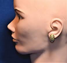 NATIVE AMERICAN EARRINGS PIERCED