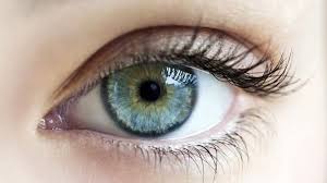 Italian Researchers Develop Retina Implants That Could Completely Reverse Vision Loss Eye Photography Cool Eyes Photos Of Eyes