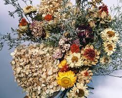 Contact the award winning florist auckland for online flower delivery! Guide To Dried Flowers