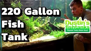 Standard sizes and weights (us units) the following is a list of basic glass aquarium sizes and weights. I Waited 2 Years For My 220 Gallon Planted Aquarium 220 Gallon Fish Tank Overview Youtube