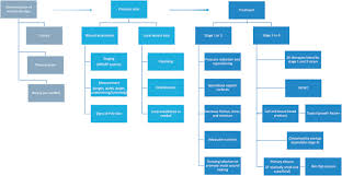 Pressure Ulcers Prevention And Management Sciencedirect