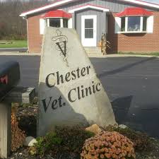 Chester Veterinary Services, LLC