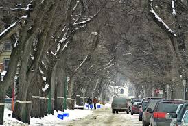Kindling short pieces of cut & split, slabs or lumber Elm Cleanup Inventory Coming Winnipeg Free Press