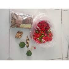 Pilih bougenville yang anda inginkan mulai dari yang berwarna putih, pink. Bunga Macan Kerah Dan 2 Pasang Jeruk Purut Bunga Buang Sial Paket Mandi Buang Sial Shopee Indonesia