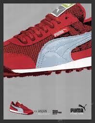 Image result for Colorado Red 2001 Puma