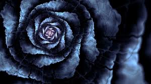 Wallpaper Resolutions Blaue Rosen Hintergrundbilder 658286 Hd Wallpaper Backgrounds Download Weitere ideen zu hintergrundbilder, hintergrund, bilder.