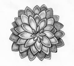 Pencil Flower Drawings Download Pencildrawing2019 How to draw a complex flower. pencil flower drawings download