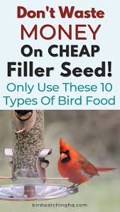Bird Feeder Pole System Amazon Bird Seed 101 The 10 Best Types For Wild Birds In 2020 Wild Birds Unlimited Bird Feeding Station Birds