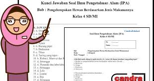 Sebentar lagi ujian atau ulangan akan segera di laksanakan, dan para murid harus menyiapkan stamina, dan harus belajar dan belajar, agar memudahkannya mengisi soal ulangan di sekolah nanti, agar mendapatlan nilai yang memuaskan atau mendapatkan nilai yang tinggi. Soal Ipa Kelas 4 Semester 1 Bab Pengelompokan Hewan Berdasarkan Jenis Makanannya