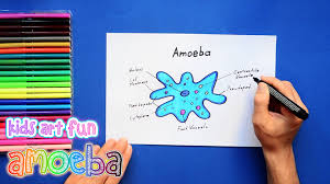 How To Draw And Color Amoeba Science Drawing Art For Kids Art