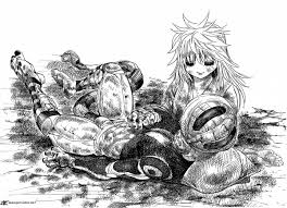 hunter x hunter 319 super mangas fansub メルエム コムギ メルエム 冨樫義博