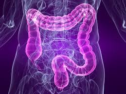 Le syndrome du côlon irritable (aussi appelé syndrome de l'intestin irritable) touche de 13 à 20 % des canadiens. Syndrome Du Colon Irritable Quoi Manger Si Vous En Souffrez