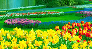 Recently hired them to mow my lawn, clean backyard and check sprinkler system before summer. Hiring A Landscaping Company In Canton Mi