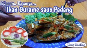 Nah, itu dia resep kerang dara saus padang. Edan Rasanya Ikan Gurame Saus Padang Yang Lezat Ala Mama Henny Youtube