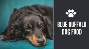 The blue buffalo 2015 cat food recall is a prime example of why outsourcing the manufacturing process is problematic. Blue Buffalo Dog Food Reviews And Recalls Updated For 2019