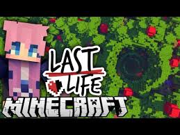 One life is a multiplayer whitelisted minecraft server where all users have a. Ldshadowlady Invidious
