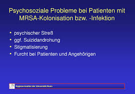 Sie können in 5 gruppen unterteilt werden: Ppt Staphylococcus Aureus Powerpoint Presentation Free Download Id 583535